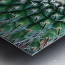 IMG 20240513 160259 Metal print