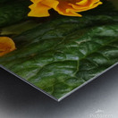 IMG 20240410 122004 Metal print