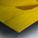 IMG 20240411 145209 Metal print