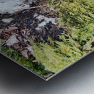 .trashed 1717284546 IMG 20240420 172757 Metal print