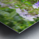 IMG 20240415 092828 Metal print