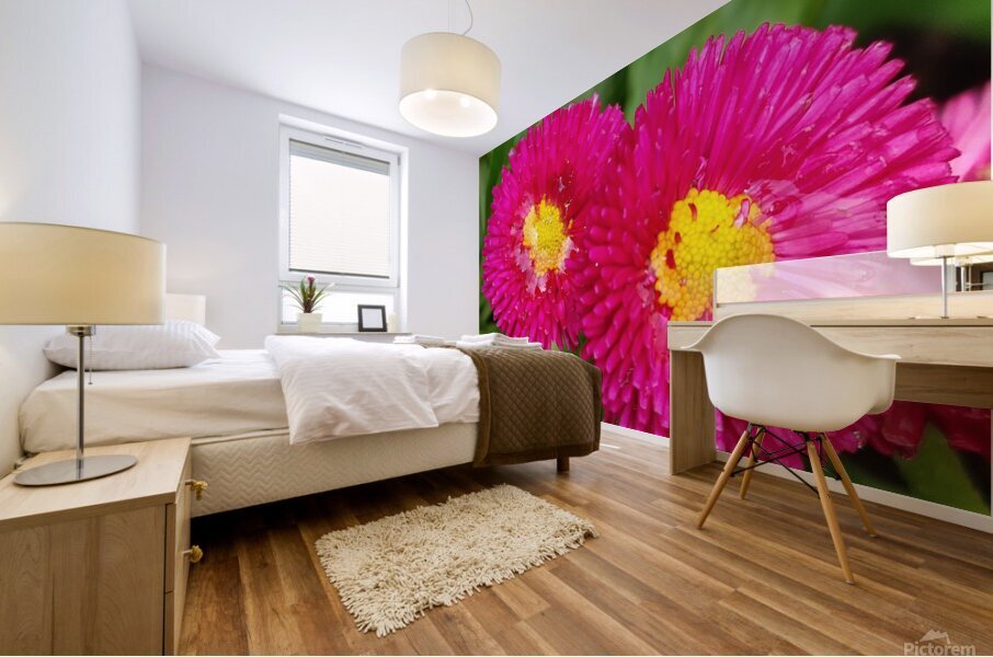 twopinkflowera Mural print