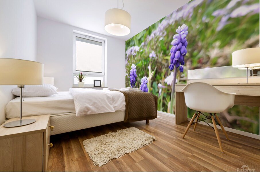 IMG 20240415 092828 Mural print