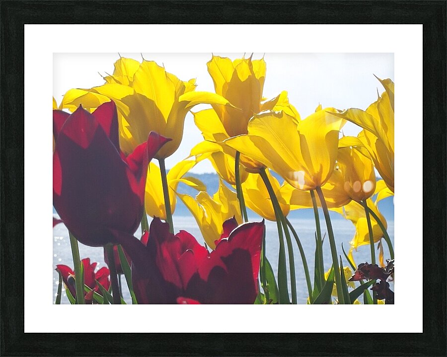 floresalrya Picture Frame print