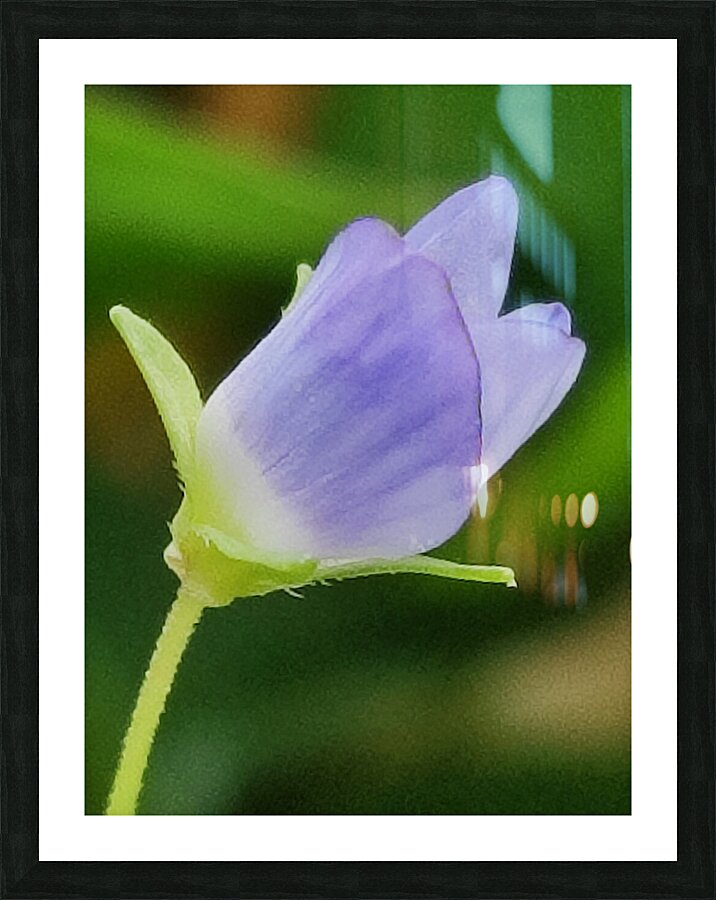 Blue tiny flower Picture Frame print