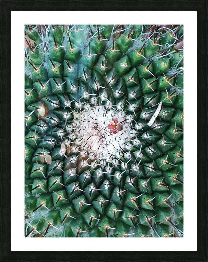 IMG 20240513 160259 Picture Frame print