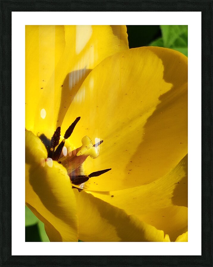 IMG 20240411 145209 Picture Frame print