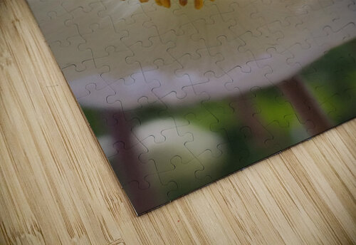 whiteflowera Ana Duhne puzzle