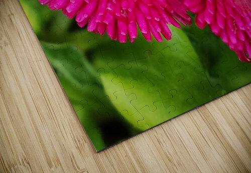 twopinkflowera Ana Duhne puzzle