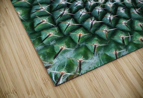 IMG 20240513 160259 Ana Duhne puzzle