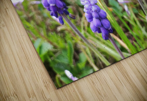 IMG 20240415 092828 Ana Duhne puzzle