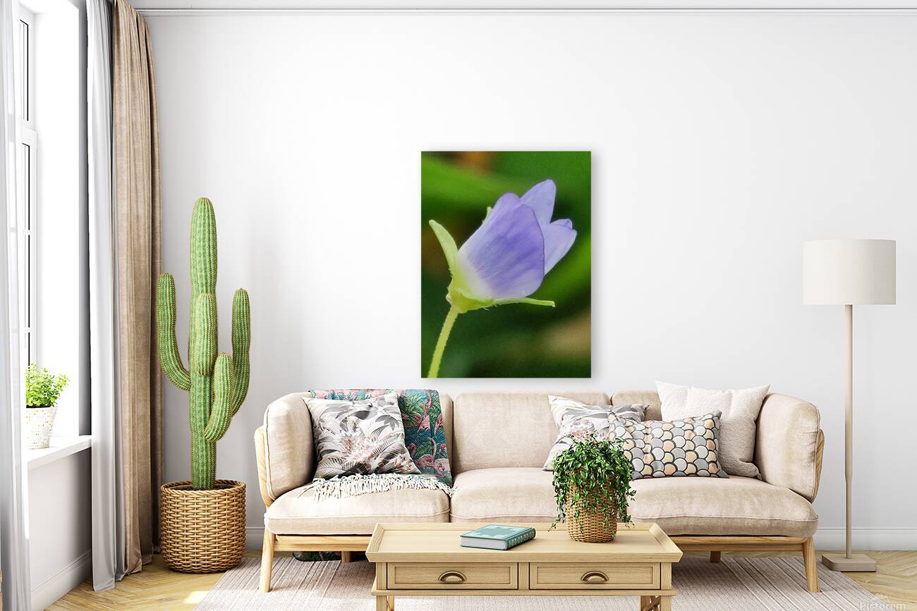 Blue tiny flower Reproduction