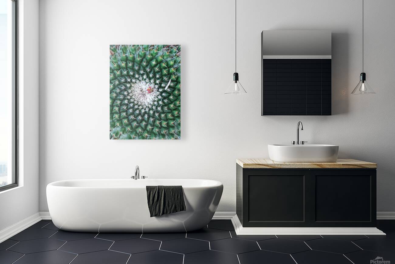 IMG 20240513 160259 Reproduction