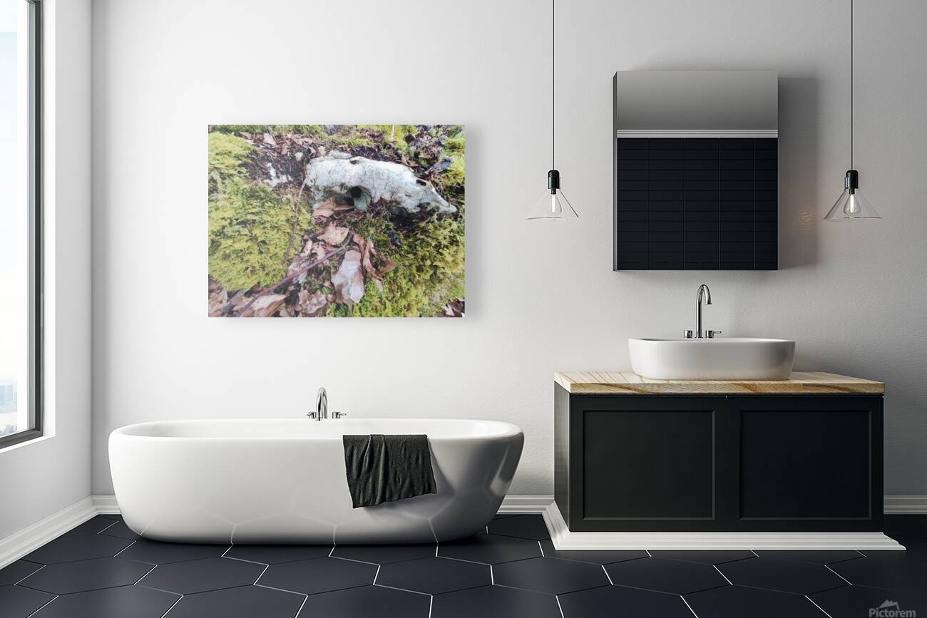 .trashed 1717284546 IMG 20240420 172757 Reproduction