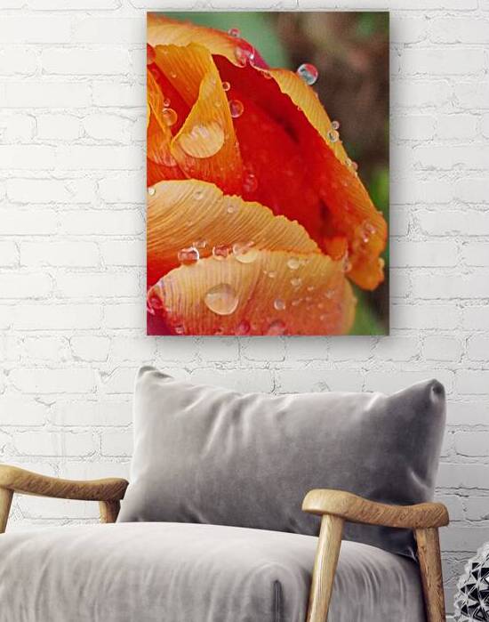 orange flower with drop of whater by Ana Duhne