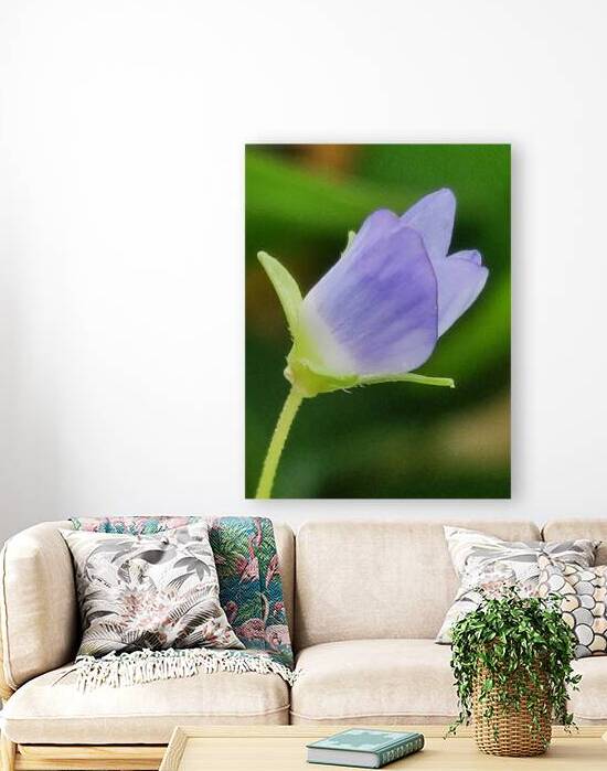 Blue tiny flower by Ana Duhne