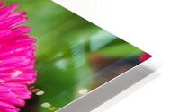 twopinkflowera HD Metal print