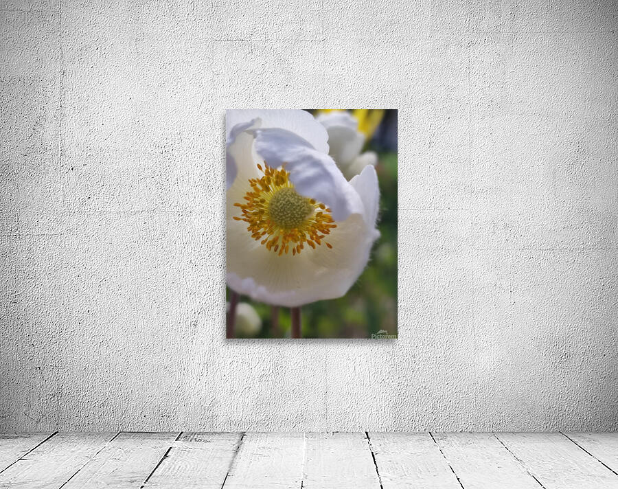 whiteflowera Wall Preview