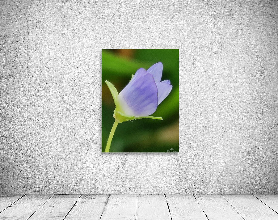 Blue tiny flower Wall Preview