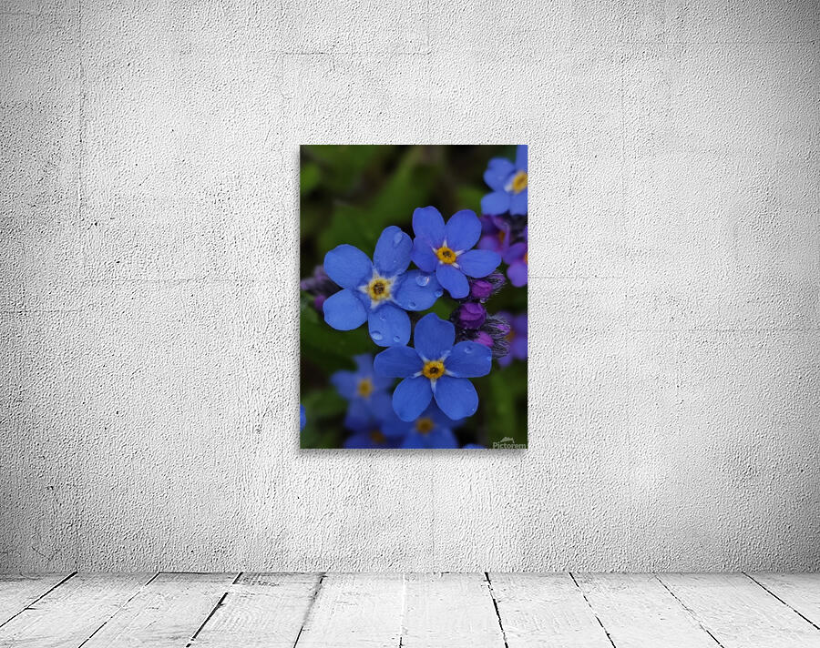 IMG 20240418 173857 Wall Preview