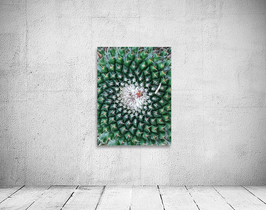 IMG 20240513 160259 Wall Preview