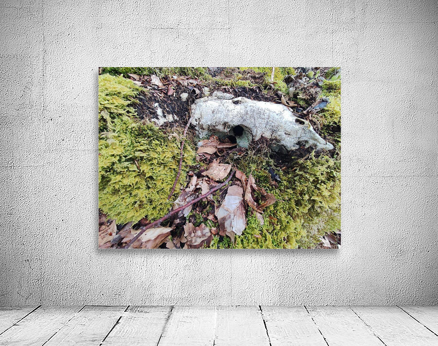 .trashed 1717284546 IMG 20240420 172757 Wall Preview