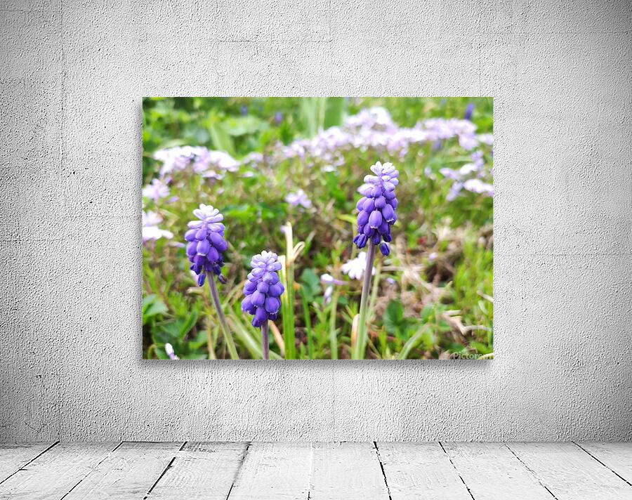 IMG 20240415 092828 Wall Preview