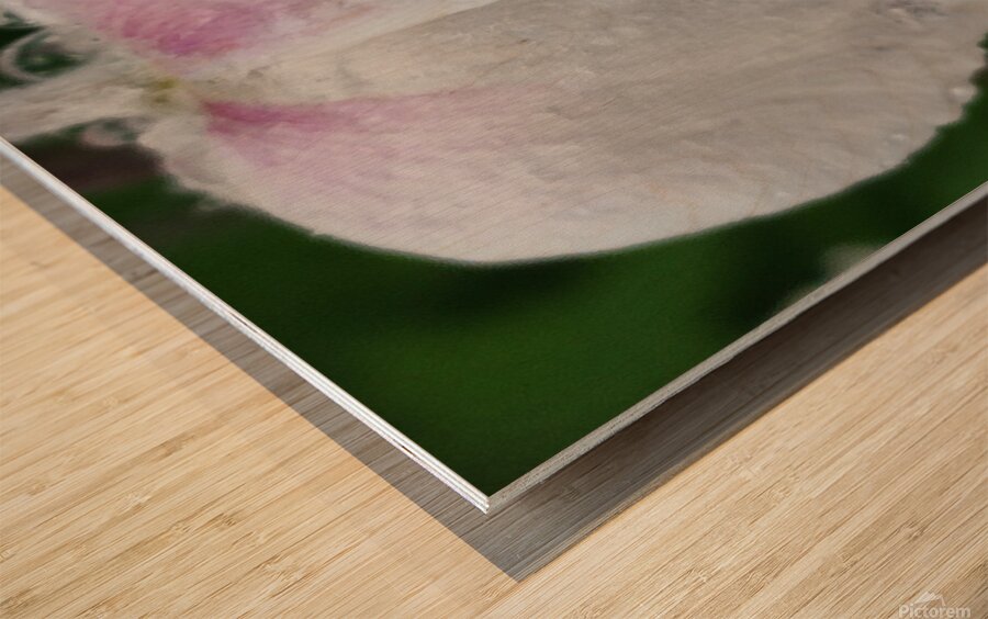 droponflowera Wood print