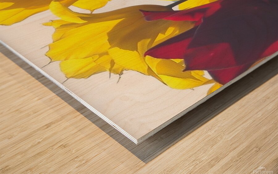 floresalrya Wood print