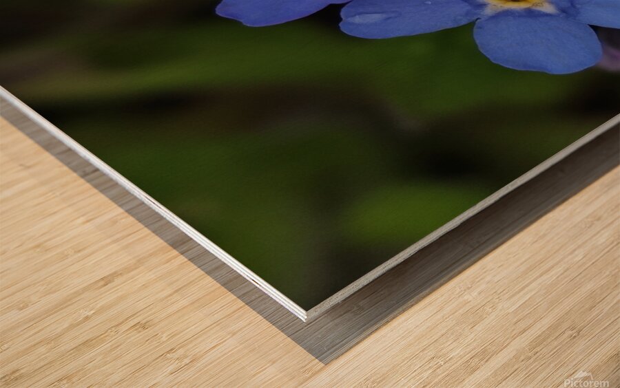 IMG 20240418 173857 Wood print