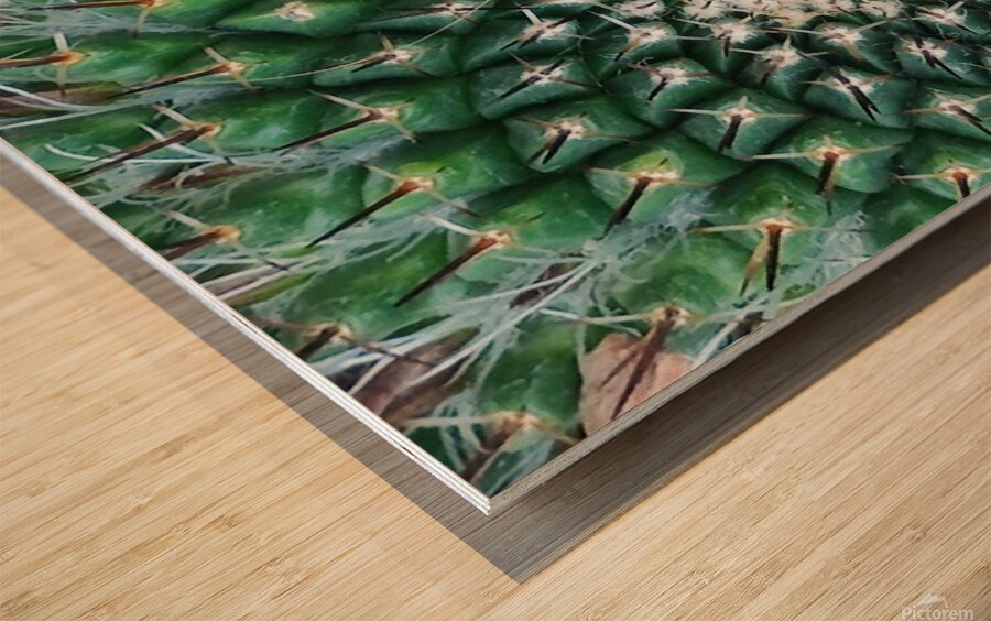 IMG 20240513 160259 Wood print