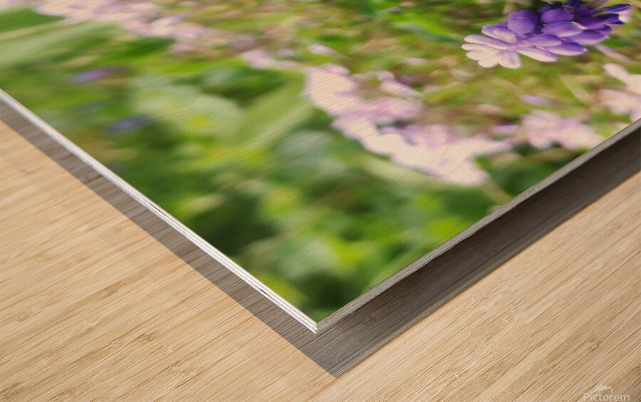 IMG 20240415 092828 Wood print