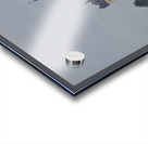 Marksburg Castle Acrylic print