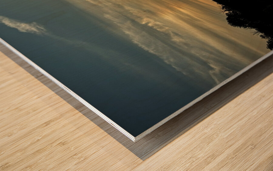 Morning Crossing Wood print