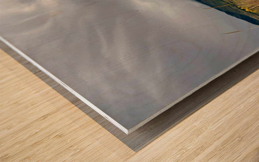 Green Mountain Res Wood print