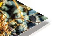 Beach Things HD Metal print