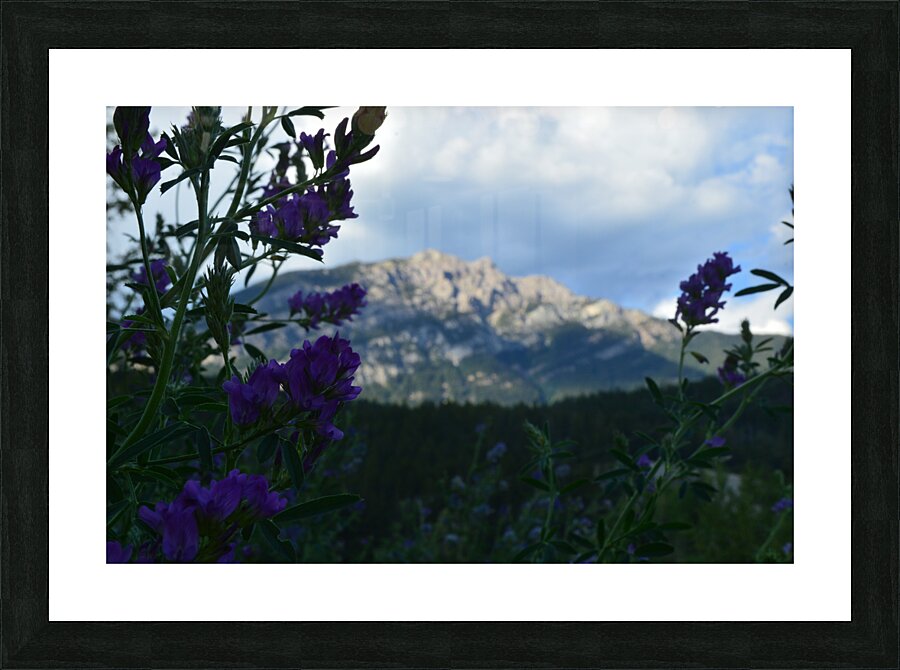Mountain BC Picture Frame print