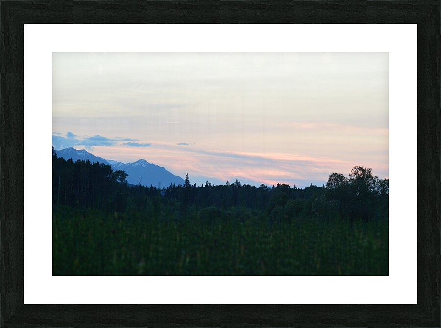 Wetland 2 Picture Frame print