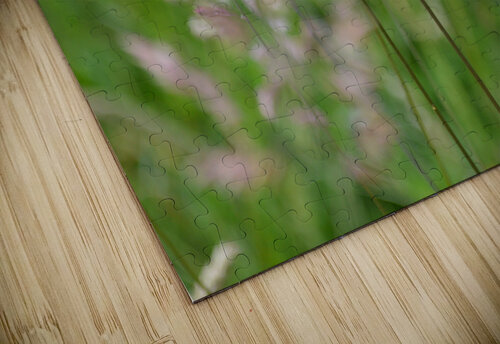 Papillon Sarah Bayeul puzzle