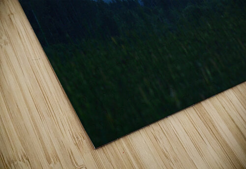 Wetland 2 Sarah Bayeul puzzle