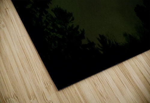 Nothern lights Sarah Bayeul puzzle