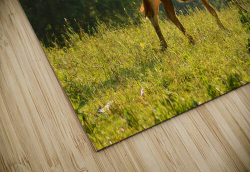 Broutard Sarah Bayeul puzzle
