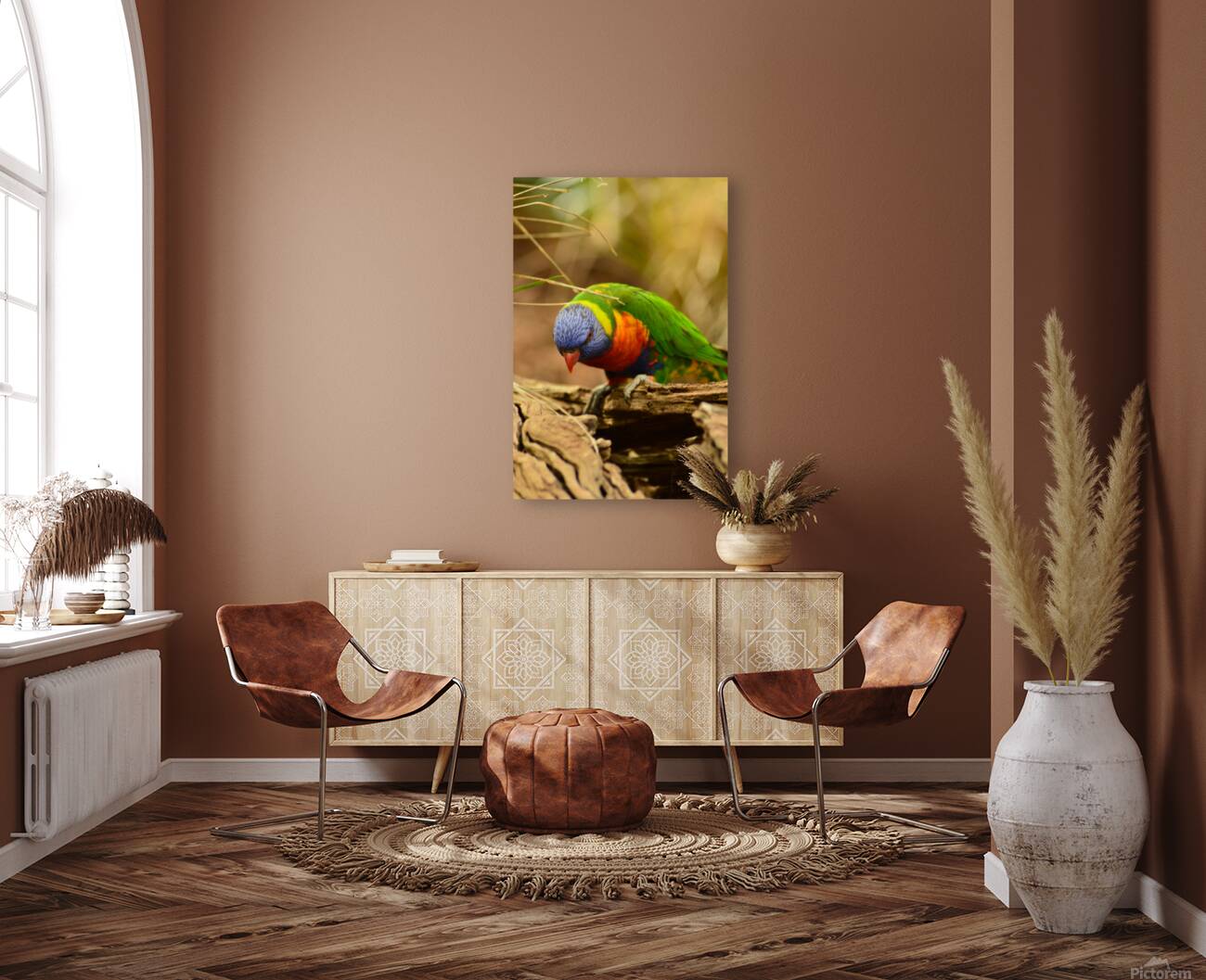 Rainbow lorikeet Reproduction