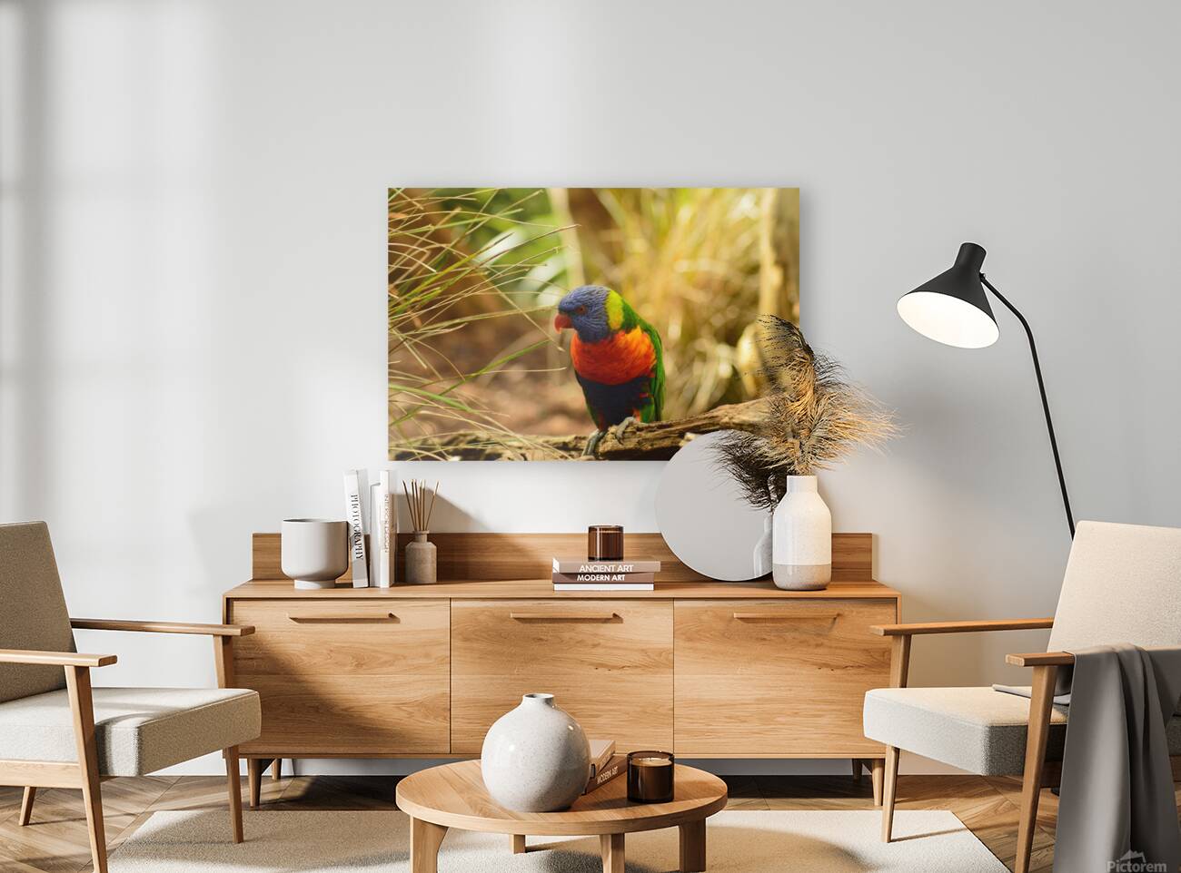 Intrigued parrot Reproduction