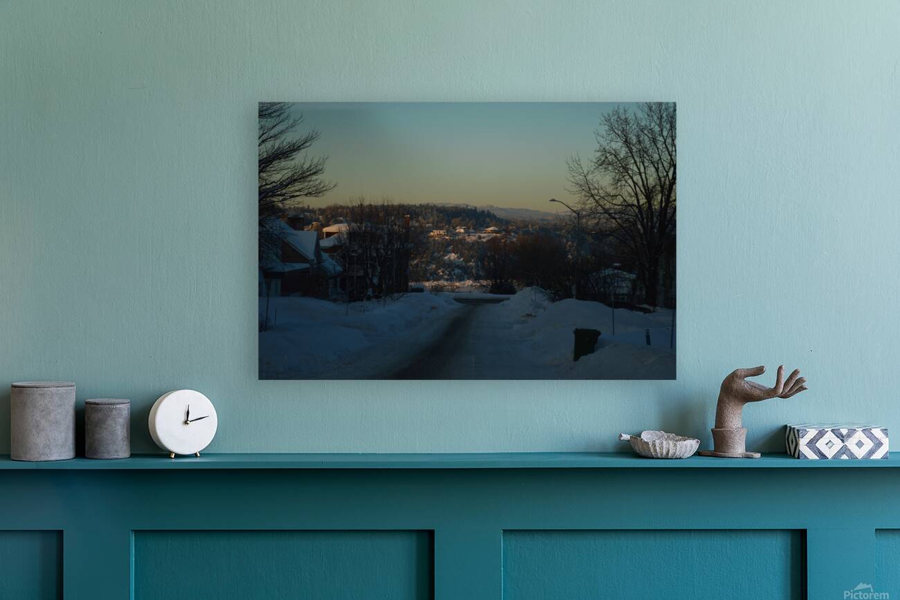 Chicoutimi Reproduction