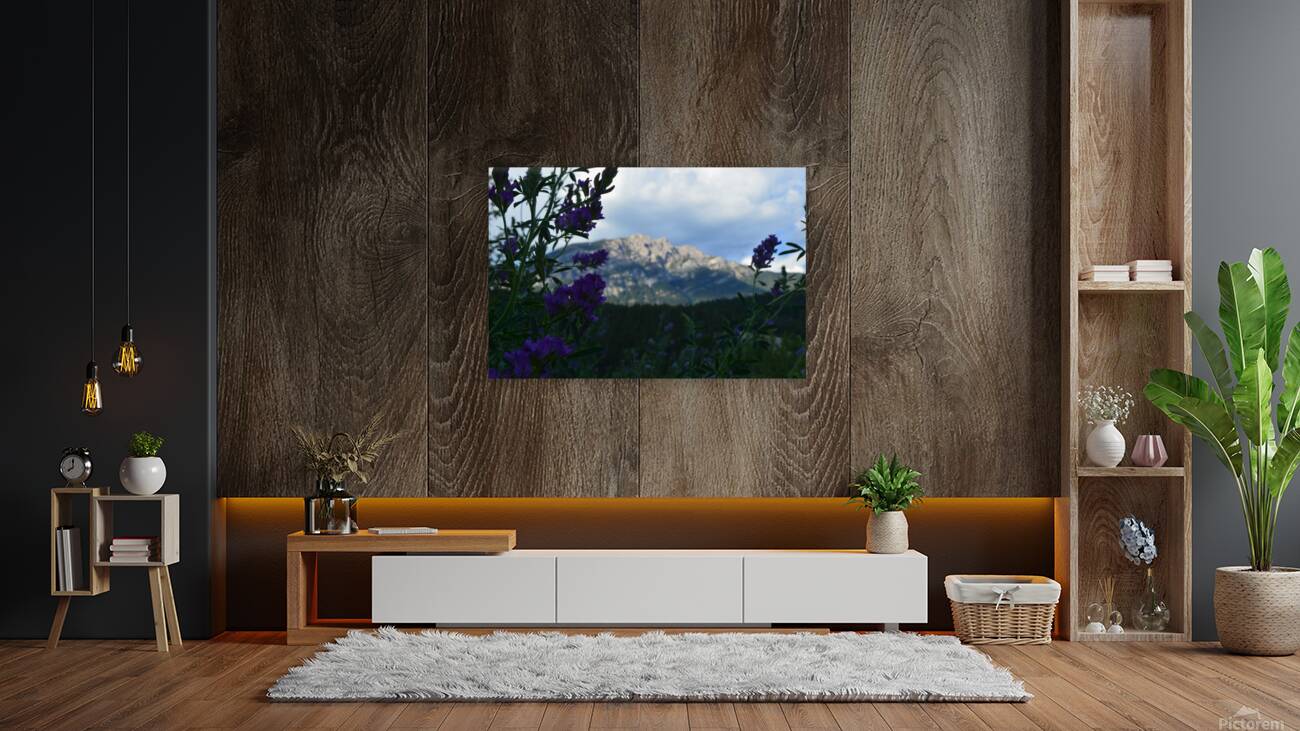 Mountain BC Reproduction