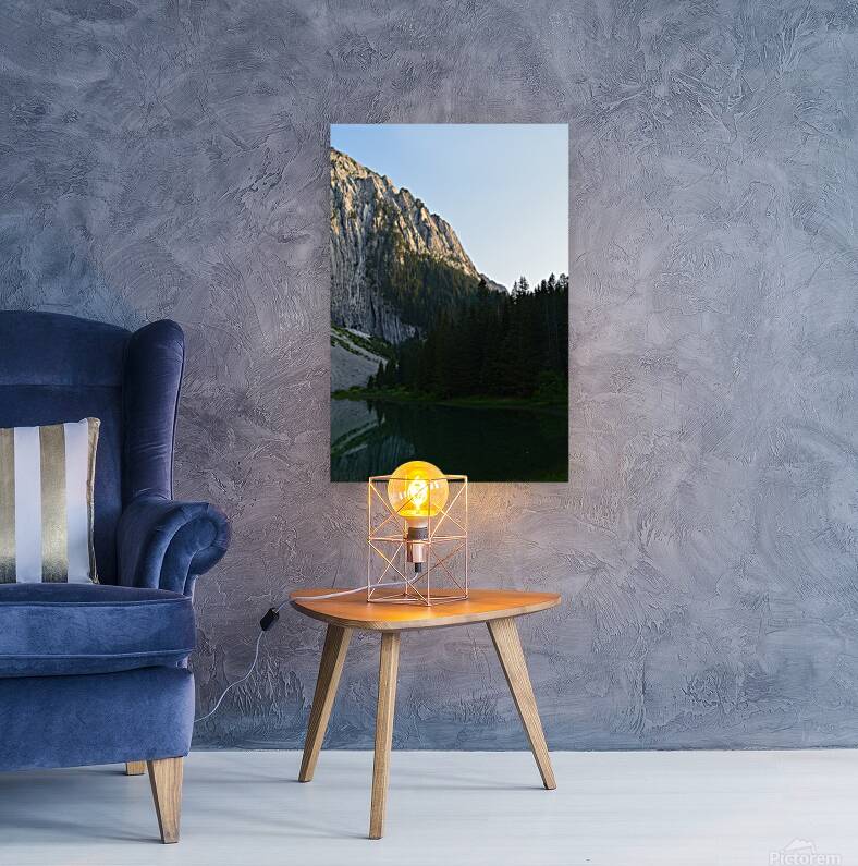 Mountain Reproduction