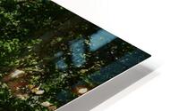 Secret river HD Metal print
