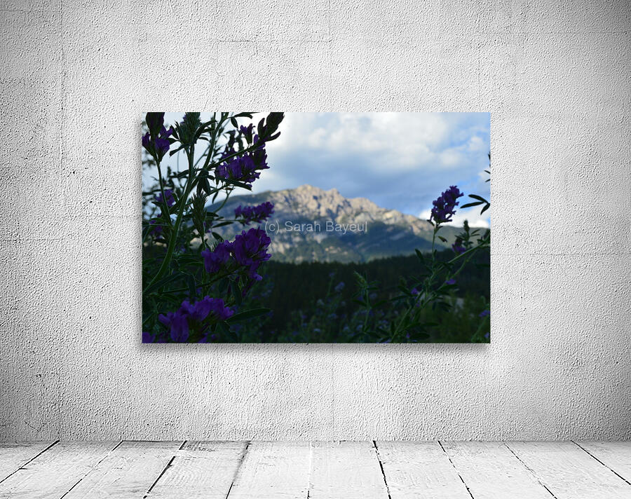 Mountain BC Wall Preview