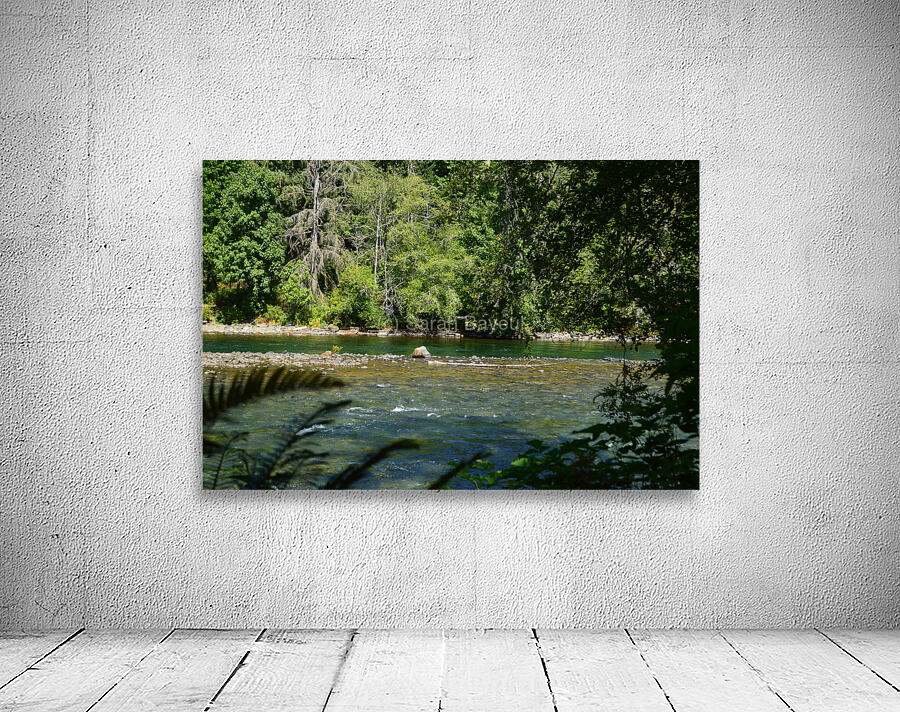 Secret river Wall Preview
